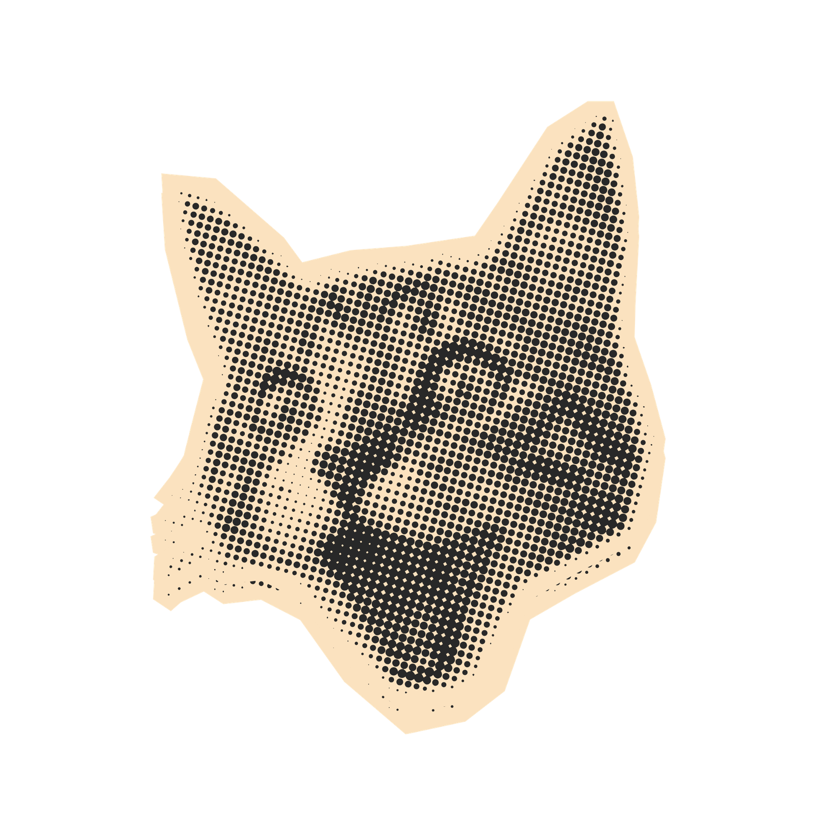 whito image (2) Marketing tools reviewed for UK businesses