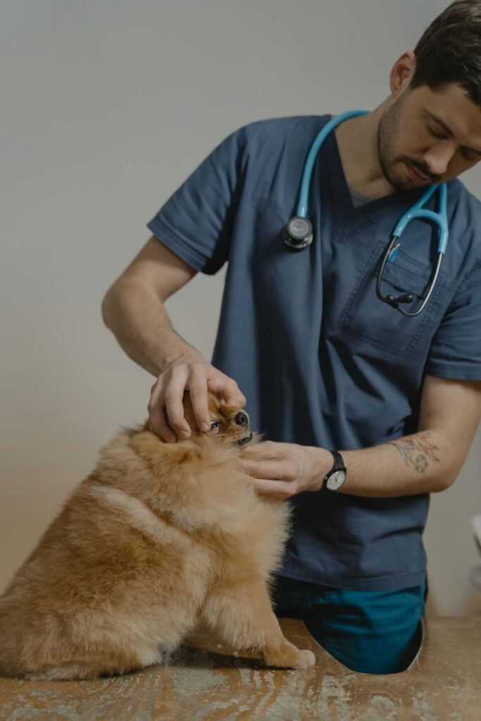 UK Vet Practice Marketing in Numbers: 2026 Data Report