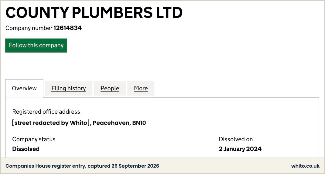 Companies House entry for COUNTY PLUMBERS LTD, company number 12614834, status dissolved, dissolved on 2 January 2024.