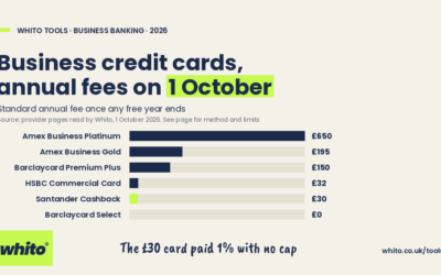 Business Credit Cards UK: Eleven Cards’ Fees, Caps and Guarantees, Read on One Day
